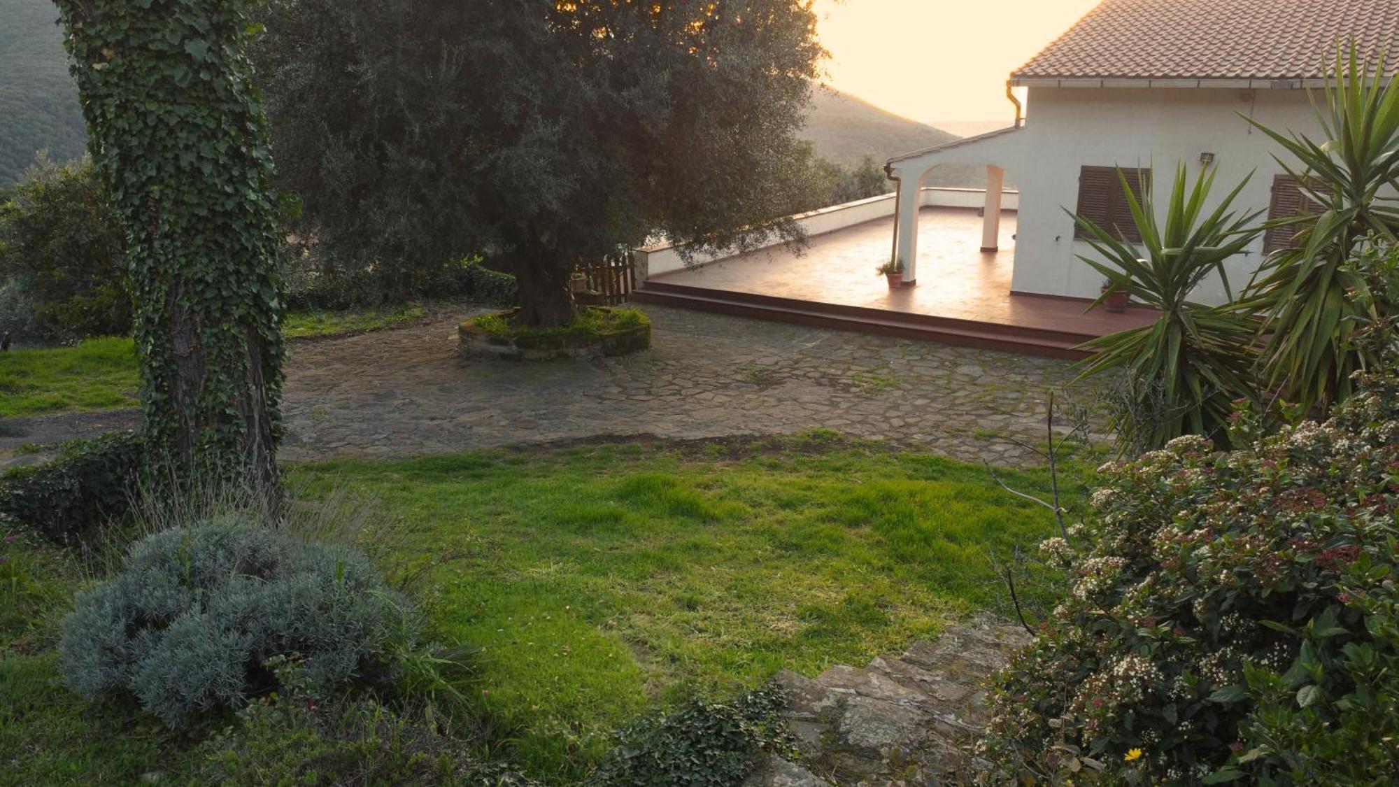 Villa Noemi Scarlino Bagian luar foto
